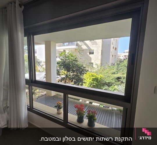 חלון